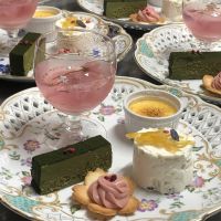 春爛漫プレート　ラングドシャ桜のガナッシュ　抹茶のテリーヌ　桜のジュレ