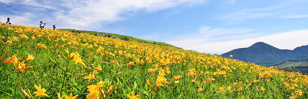 車山高原・霧ヶ峰高原・美ヶ原高原