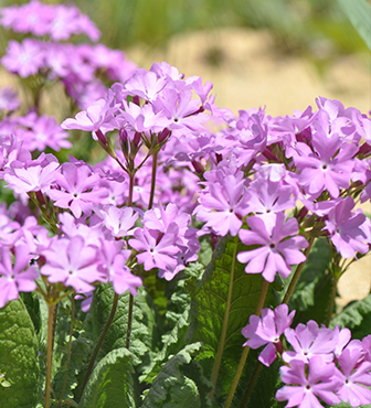2泊3日の楽しみ方
