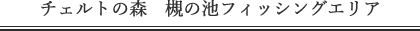チェルトの森　槻の池フィッシングエリア　