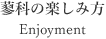 楽しみ方